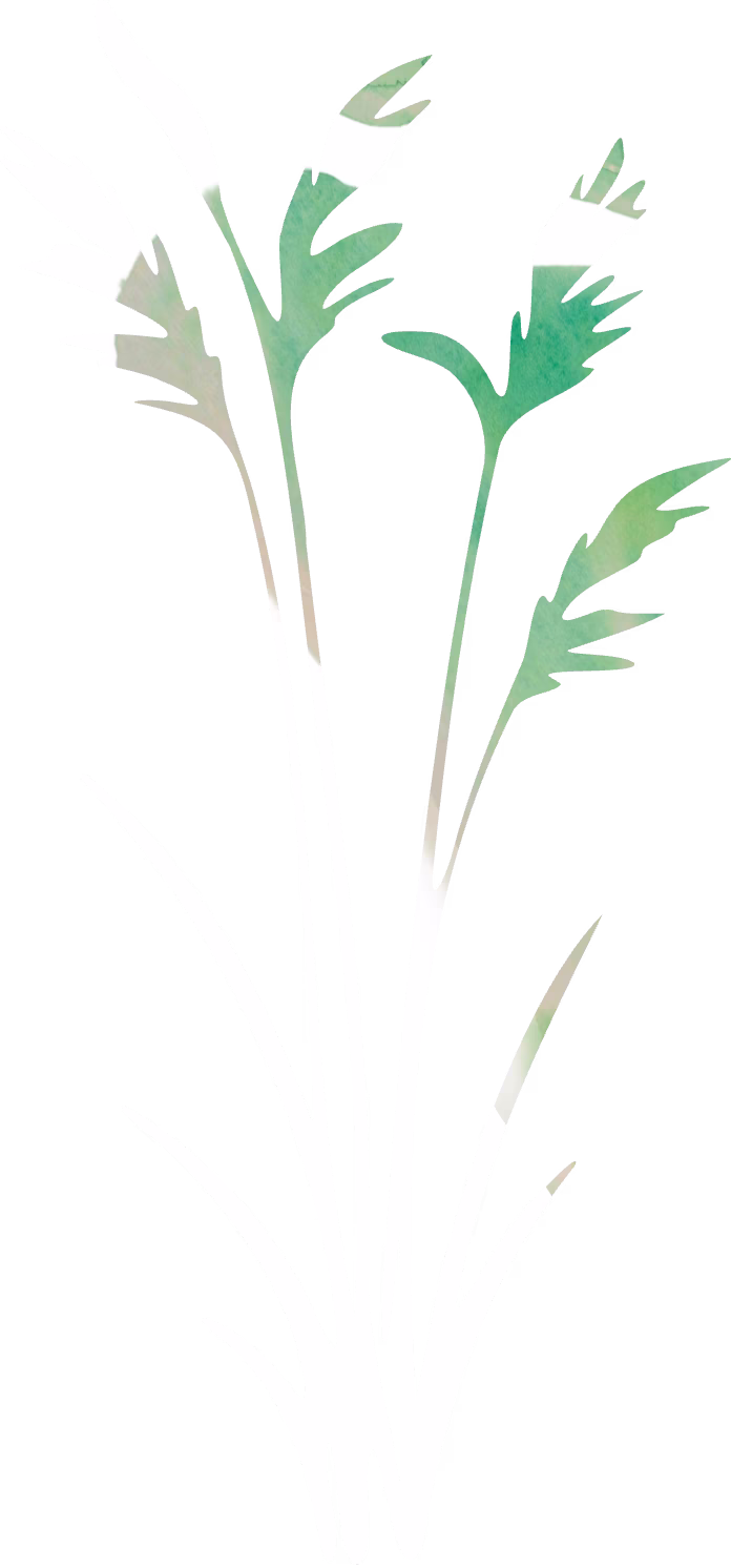 Needlegrass
