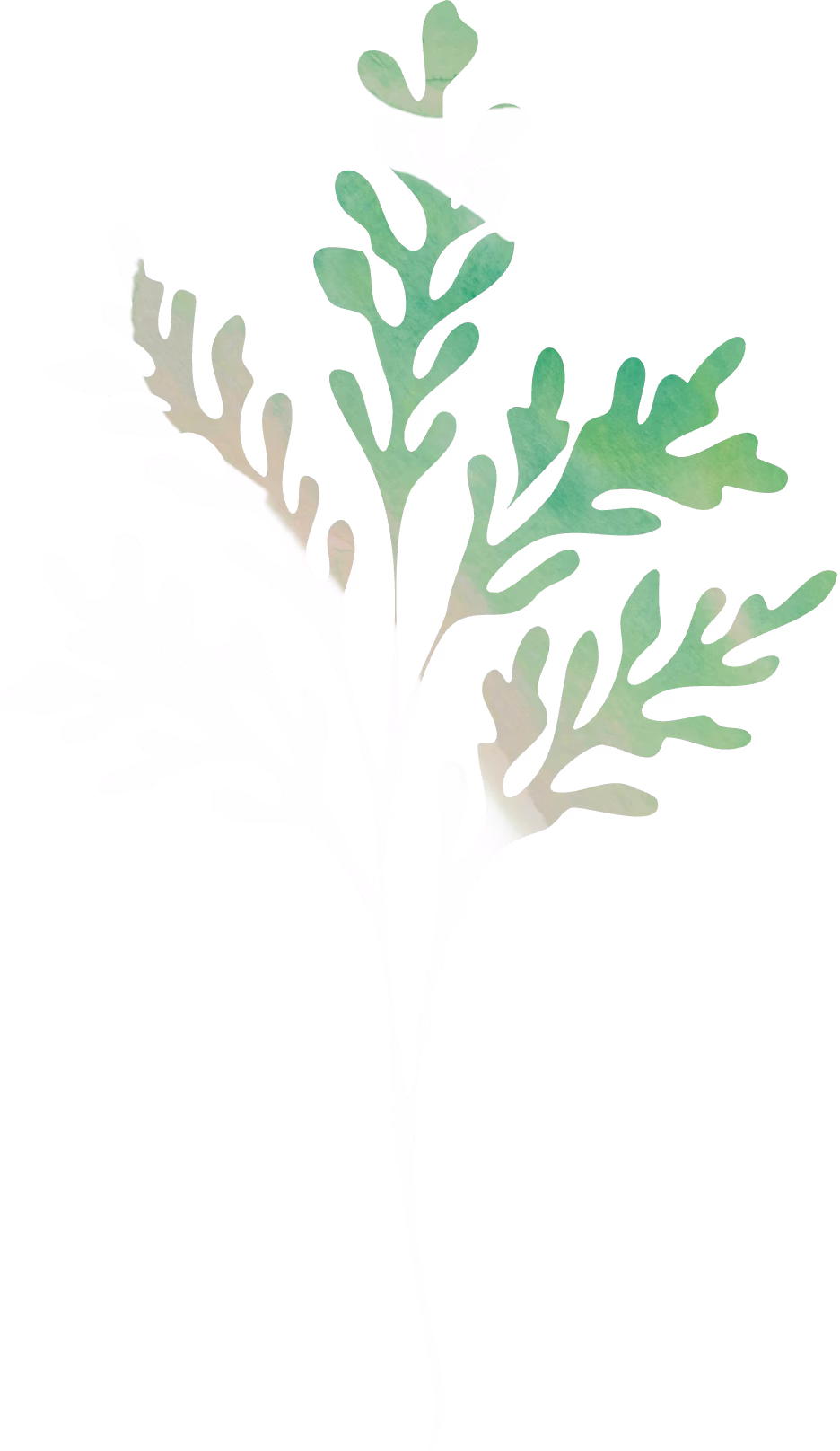 Sage Brush